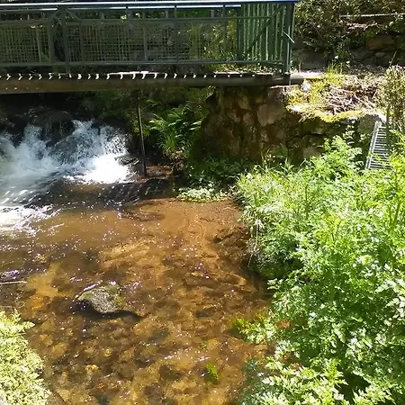 Molino Roxan Palas de Rei